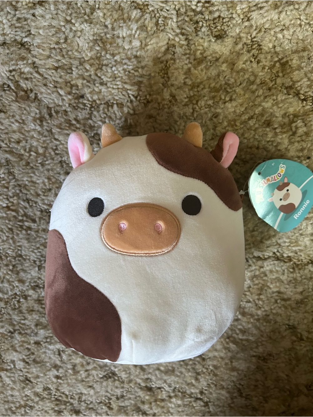 Squishmallows Ronnie Brown Cow Plush Stuffed Animal 7”